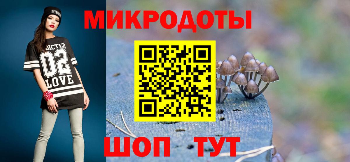 Галлюциногенные грибы Psilocybe Тобольск