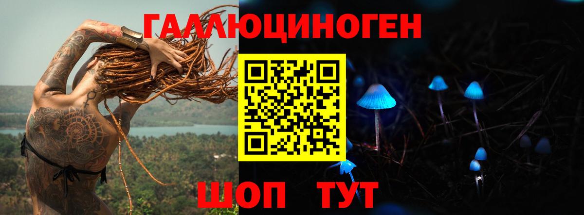 Псилоцибиновые грибы Magic Shrooms  купить закладку  Тобольск  Вход с VPN 